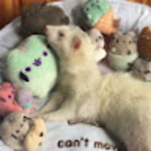 Meet your Posher, Jillian